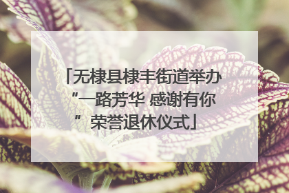 无棣县棣丰街道举办“一路芳华 感谢有你”荣誉退休仪式